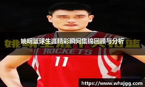 姚明篮球生涯精彩瞬间集锦回顾与分析
