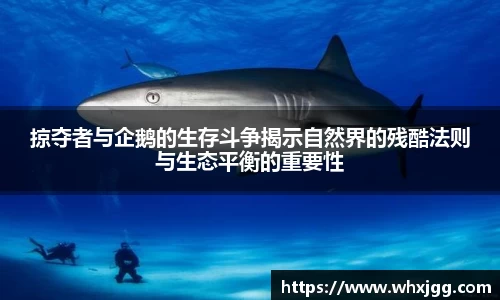 掠夺者与企鹅的生存斗争揭示自然界的残酷法则与生态平衡的重要性