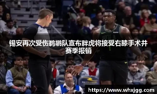 雷竞技raybet
