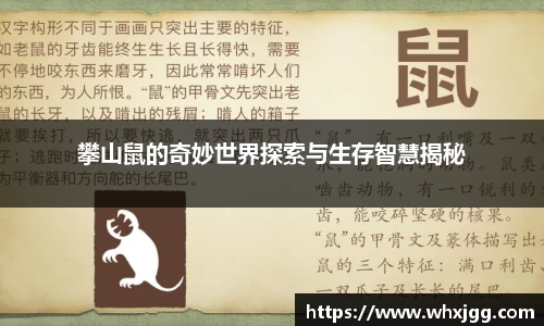 雷竞技raybetapp官网